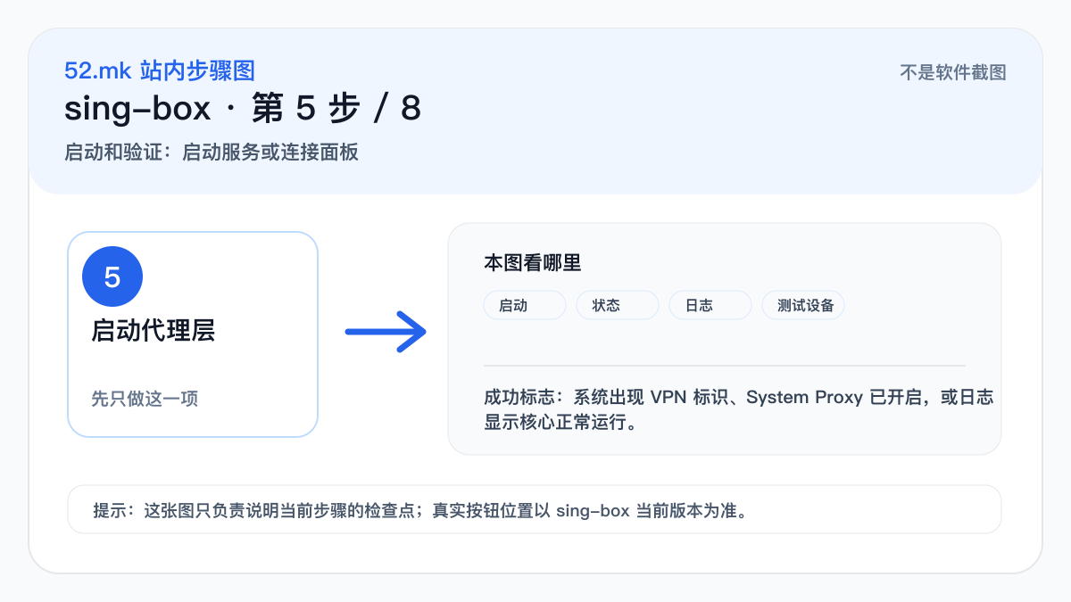 sing-box 启动和验证示意图