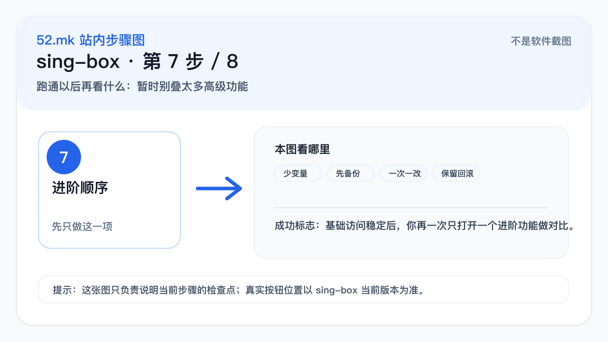 sing-box 后续处理示意图